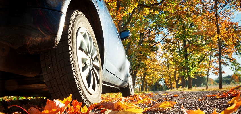 Prevent Damage To Your Car From Autumn's Falling Leaves